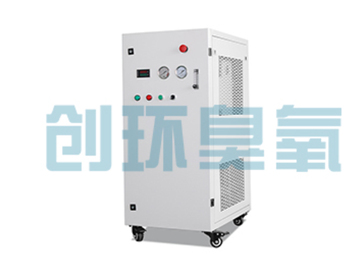 舒兰石斑鱼养殖水质调控完整指南：臭氧发生器配置与操作步骤