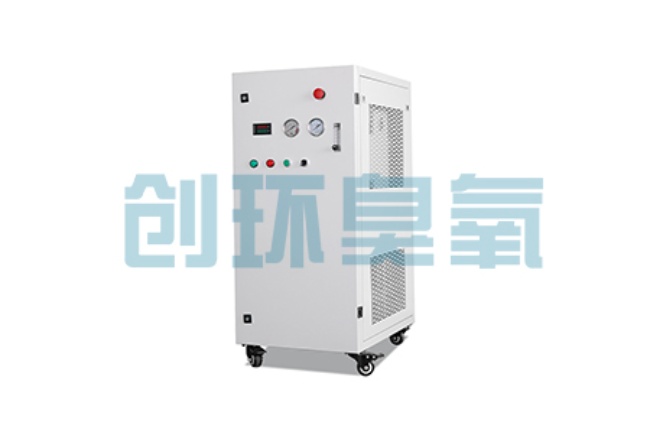 舒兰比传统换水更高效？臭氧发生器在石斑鱼养殖中的水质净化原理解析